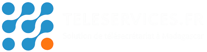logo 2 TELESERVICES.FR